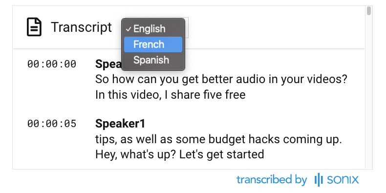 Media player with language toggle